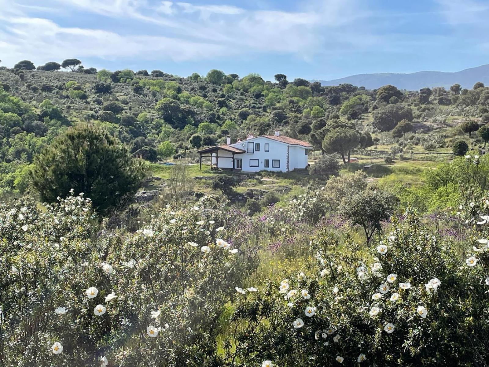 Finca Altair マドリード エクステリア 写真